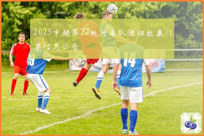 2025中超第27轮河南队酒祖杜康门票信息公告
